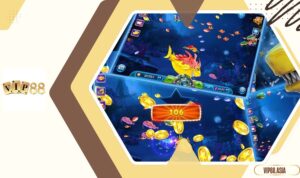 Hiểu rõ về các loại sinh vật biển và giá trị của cá